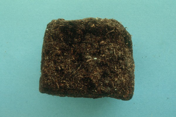 TURBA