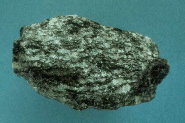 GNEIS