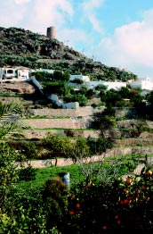 Torre vig�a dominando la trama urbana