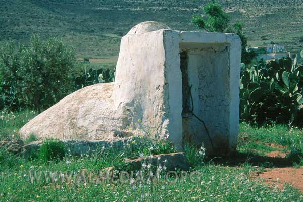 La "cultura del agua" forma parte de la etnograf�a del Parque 