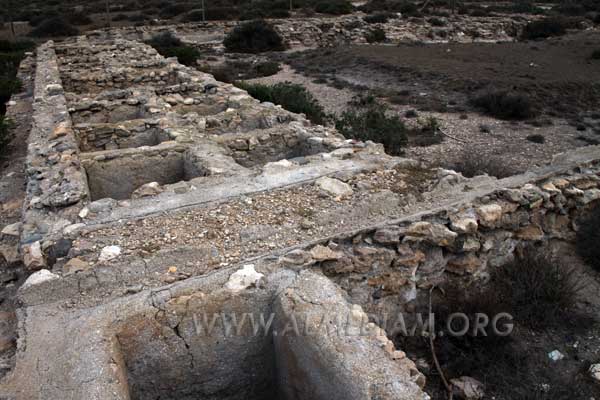 Industria de salaz�n romana (garum)