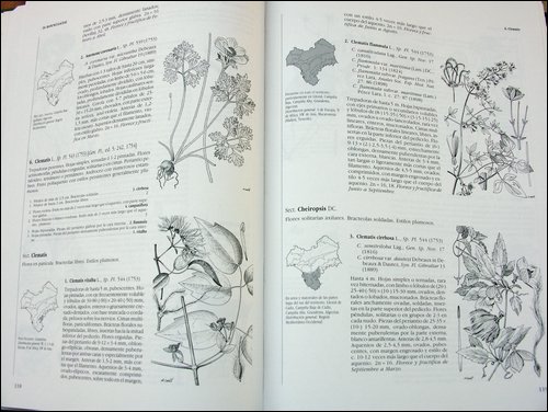 Libro de Flora Vascular de Andalucia Occidental