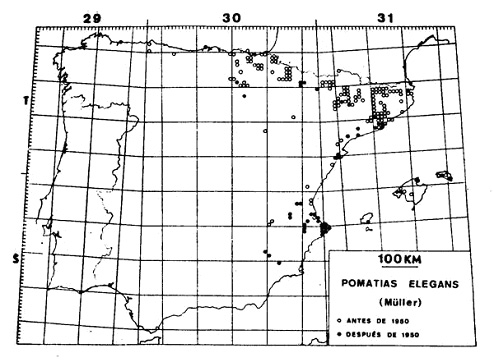 Distribuci&oacute;n geogr&aacute;fica del caracol Pomatias elegans en Espa&ntilde;a, mostrando su presencia en cuadr&iacute;culas de 10 km