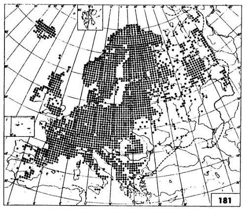 Distribuci&oacute;n en Europa del enebro Juniperus communis que muestra su presencia en cuadr&iacute;culas de 50 km