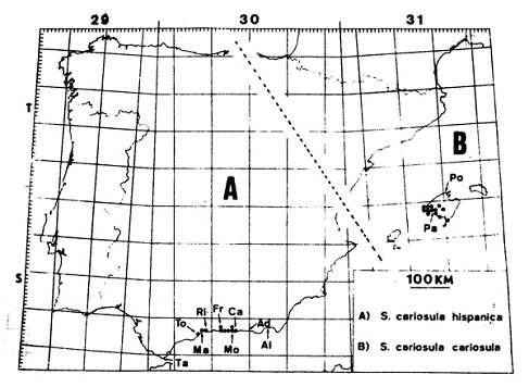 Ejemplo de representaci&oacute;n de la distribuci&oacute;n de dos subespecies utilizando el mismo mapa