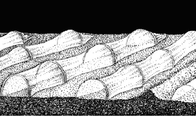 fig.3