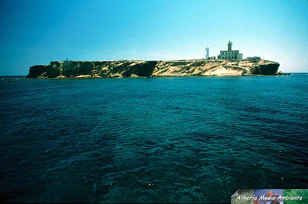 Vista desde el mar de la Isla de Albor�n. I. � Francisco Joaqu�n Aguilar Delgado