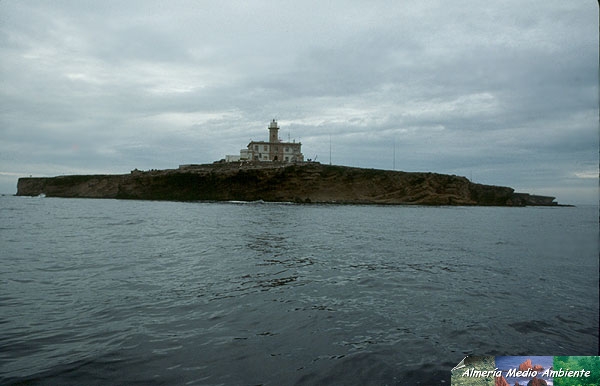 Vista desde el mar de la Isla de Albor�n. II. � Francisco Joaqu�n Aguilar Delgado