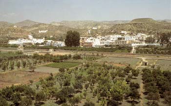 Vista general de Santa Cruz de Marchena