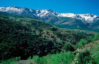 Vistas de Sierra Nevada