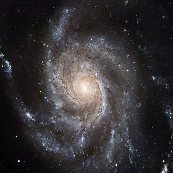 GALAXIA DEL MOLINETE