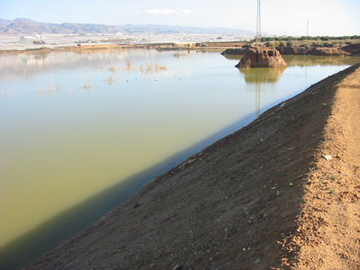 Las obras de ACUSUR han destruido la vegetaci�n de orla del humedal. JJ Matamala
