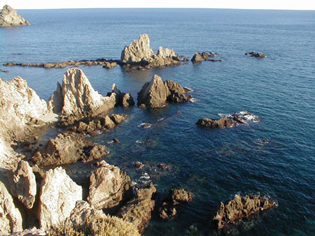 Arrecife de Las Sirenas. Gentileza de Ecologistas en Acci�n - Almer�a