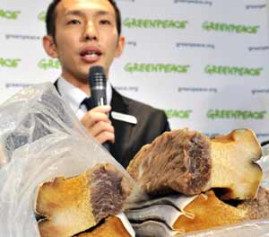 El activista de Greenpeace Junichi Sato muestra la carne de ballena que se pretendía introducir de contrabando en el mercado. (Foto: AFP)