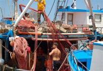 � OCEANA Arrastrero italiano Federica II con&nbsp; kil�metros de redes de deriva a bordo. Porticello-Porto Bagnera, Italia