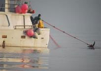 � OCEANA/ Juan Cuetos. Redero italiano Squalo con un pez espada atrapado en las redes. Sur de Cetraro Marina, Italia