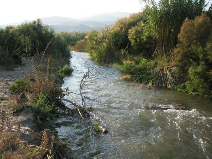 Río Adra en la actualidad