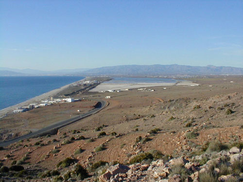 Salinas de Cabo de Gata. Gentileza de Ecologistas en Acci�n-Almer�a.