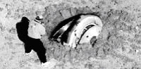 INSPECCI�N. Un t�cnico de la NASA fotograf�a los restos de la c�psula espacial, poco despu�s de que se estrellara en Utah. / REUTER