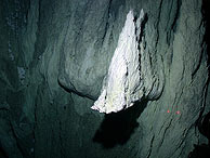 Bajo las chimeneas es donde se han encontrado mayores concentraciones de seres vivos. (Foto: Universidad de Washington)