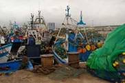 Rederos ilegales marroqu�es atracados en el puerto de Nador. � OCEANA/Juan Cuetos