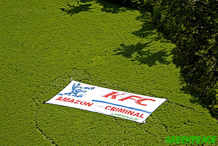 Voluntarios de Greenpeace desplegan una bandera de 300 m2 sobre una plantaci�n de soja instalada en mitad de la selva.