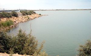 ACUÍFERO SUPERIOR. La lámina del agua ha subido en los últimos cinco días de forma considerable. /M. ALCARAZ