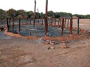 Restos de una cabaña que ha sido quemada en un poblado de los kuikuro, en Alto Xingú (Brasil). (Foto: 'Science')