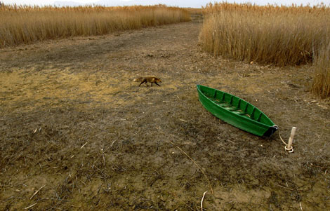 Una imagen de archivo del Parque Nacional de las Tablas de Daimiel. | AFP
