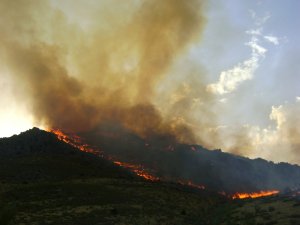 Un frente de llamas corre por los montes de J�dar. /MIGUEL YANES