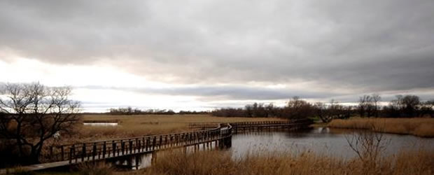 Vista parcial del Parque Nacional de las Tablas de Daimiel. La Mancha H�meda, uno de los humedales m�s singulares de Espa�a, considerado en 1980 Reserva de la Biosfera, anhela recuperar todo su esplendor. Su estado es extremadamente fr�gil.- EFE