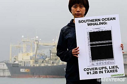 Activista muestra documentaci�n censurada sobre la caza de ballenas ante el Nisshin Maru el buque japon�s que inicia la falsa caza de ballenas "cient�fica"