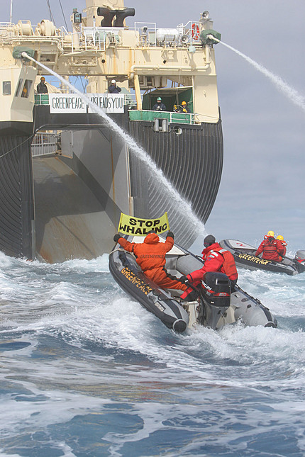 Activistas de Greenpeace tratan de frenar la caza de ballenas de la flota japonesa en el Santuario de la Ant�rtida � Greenpeace / Kate Davison