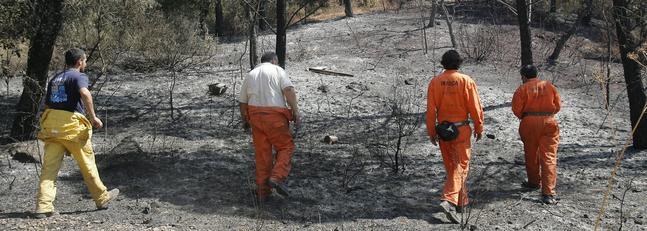 Denuncian recortes de la Junta al Plan Infoca y a la seguridad en ciertos acontecimientos