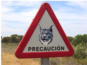 Se�al de precauci�n por tr�nsito de linces � WWF Espa�a