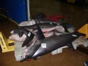 � OCEANA/ LX. Zorro oj�n en lonja de Vigo