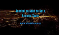 Snorkel en Cabo de Gata: Almería-Spain