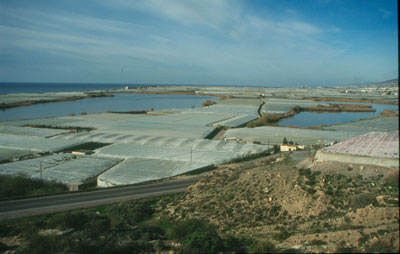 Albufera de Adra. JJ Matamala.