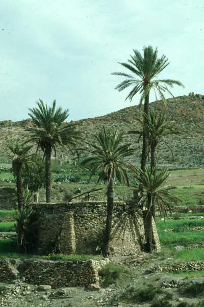 El aprovechamiento de los escasos recursos h�dricos constituye una constante en el paisaje humano. � FJAD.