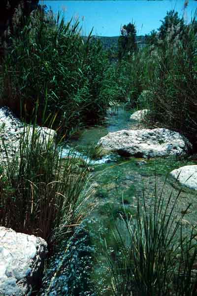 El R�o Aguas modela, tanto el paisaje exterior, como el interior. � JJMG.