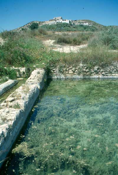 Los paisajes agrarios abandonados abundan por doquier. � JJMG.