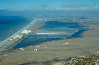 Las salinas de Cabo de Gata son las �nicas en actividad en el litoral almeriense. � JJMG.