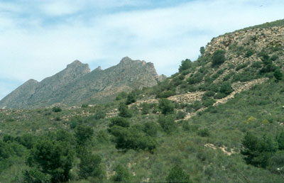 La sierra del Aguil�n y de los Pinos precisan de una protecci�n inmediata por sus valores ecol�gicos. � FJAD.