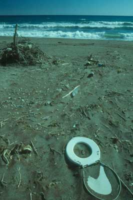 El Mediterr�neo pasa por ser uno de los mares m�s contaminados del mundo. � JJMG.