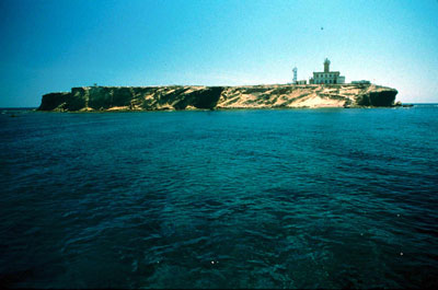Desde la lejan�a la Isla de Albor�n aparece como un gran buque de carga. � JAOU.