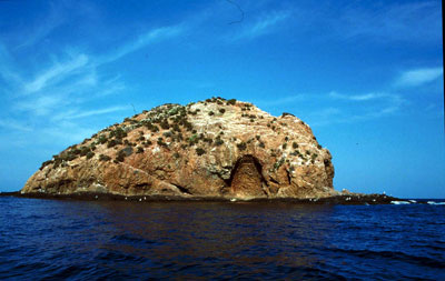La peque�a superficie de la Isla de Terreros, alberga una interesante comunidad de aves nidificantes. � FJAD.