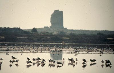 Salinas de Cerrillos. � JJMG.