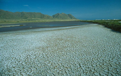 Las Salinas de Cabo de Gata constituyen uno de los saladares m�s singulares de Andaluc�a. � JJMG.