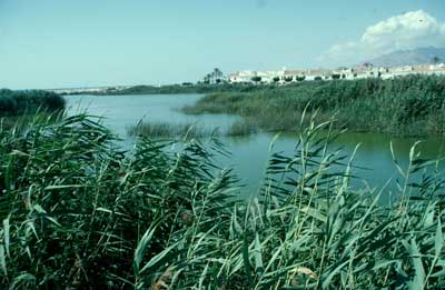 Pese a su reducida extensi�n, la desembocadura del R�o Antas mantiene una elevada biodiversidad. � JJMG.