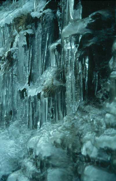 El hielo y la nieve son factores condicionantes de la vida en las �reas m�s altas de la sierra. � JJMG.